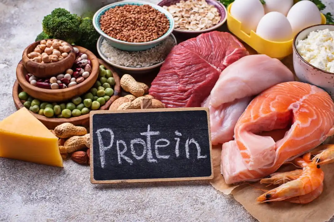 Heavy Protein retaining muscles
